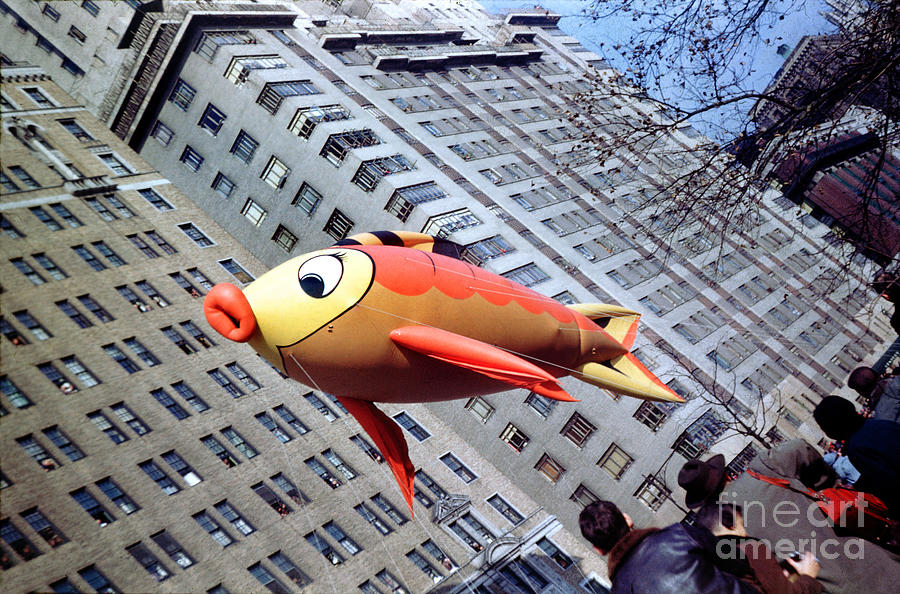 Floating Fish Macys Thanksgiving Day Parade Photograph by Wernher Krutein