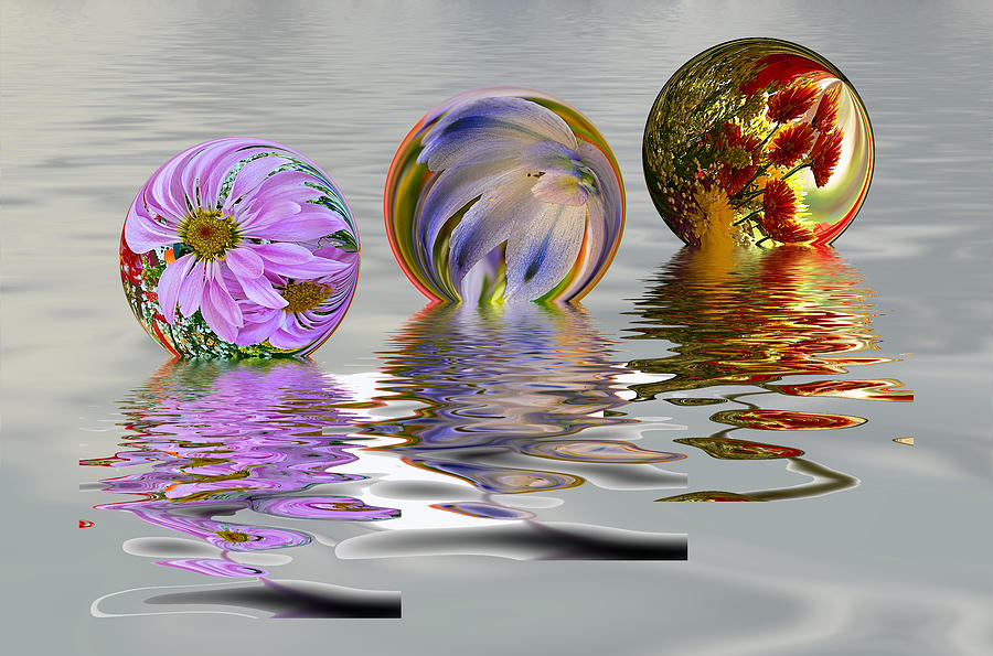 Fantasy Photograph - Floating Flowers by Maria Coulson