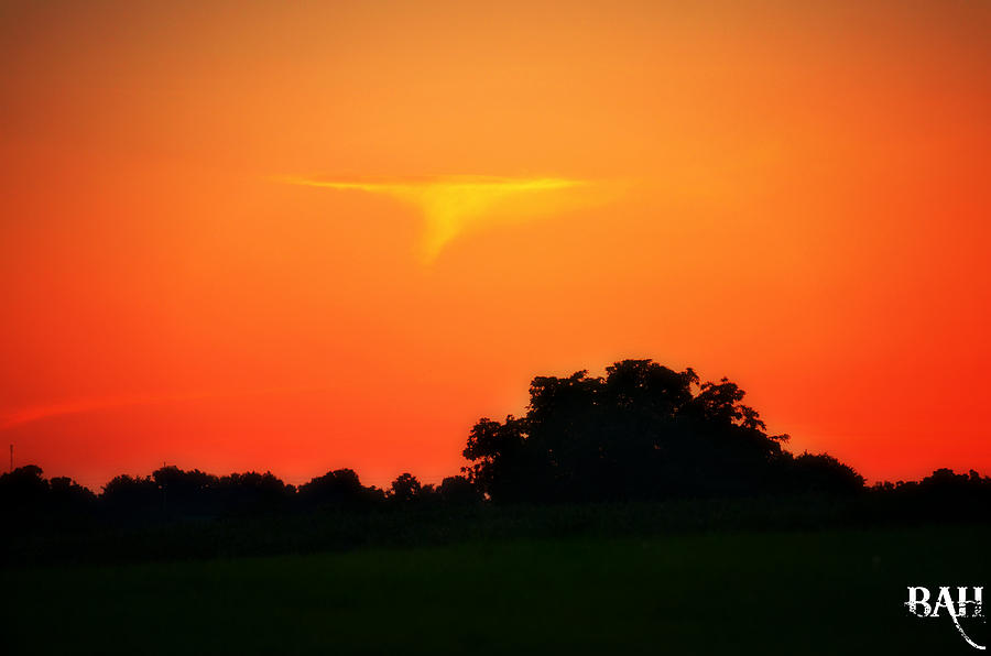 Floating Funnel Photograph by Brittany Halzel - Fine Art America