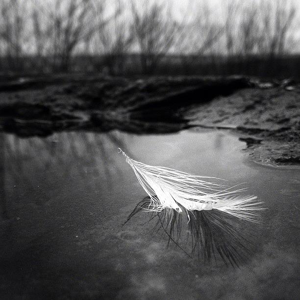 Monochrome Photograph - Floating In Winters Chill #monochrome by Craig Szymanski