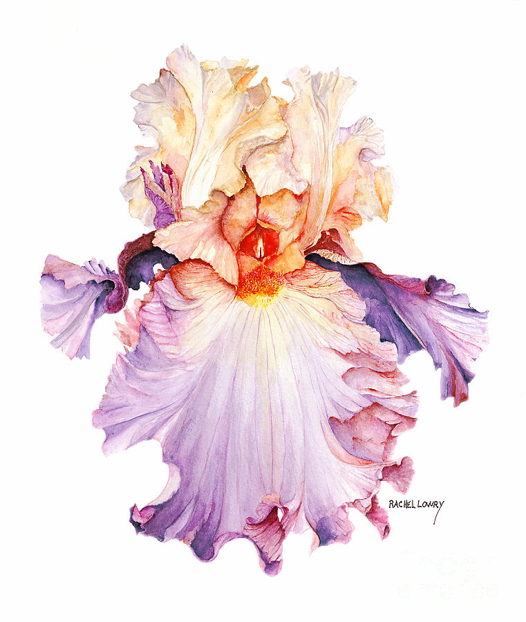 Floating Iris 2 Painting by Rachel Lowry