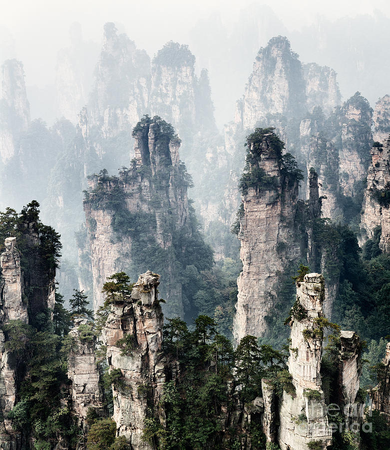 Floating mountains Zhangjiajie National Forest Park Photograph by Maxim Images Exquisite Prints