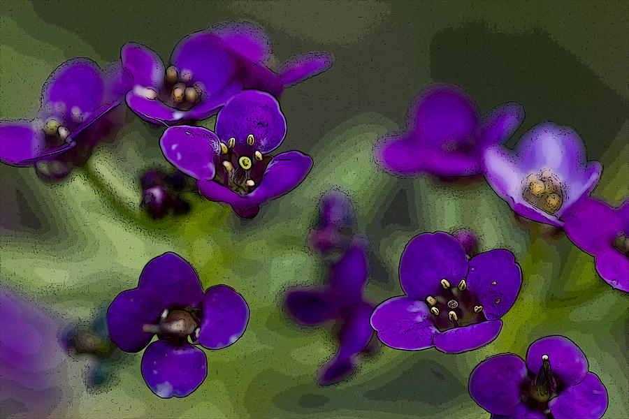 Floating Purple Flowers Photograph by Karen Morang - Pixels