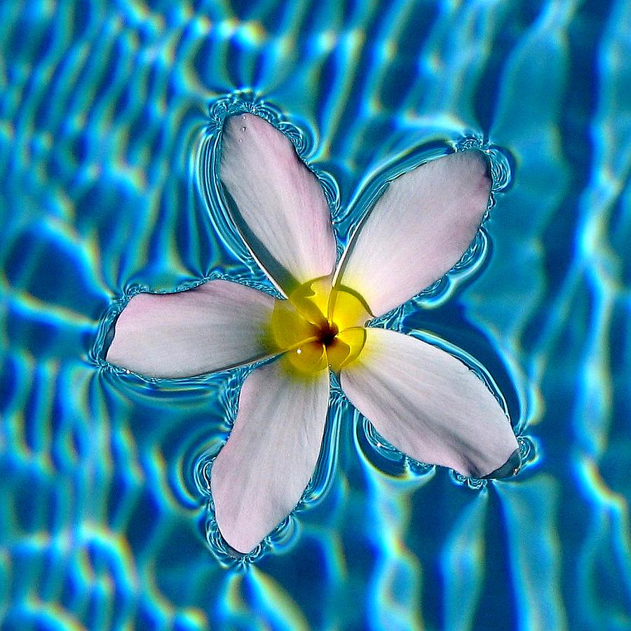 Blue Photograph - Floating Soul by Maurisca Sardju Blue Photograph - Floating Soul by Maurisca Sardju