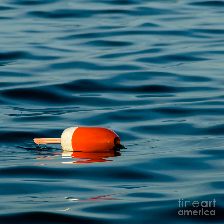 Floating Photograph by Tamara Becker
