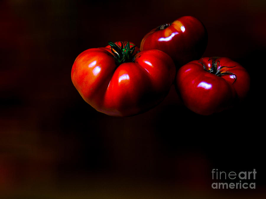 Floating Tomatoes Photograph by Mim White