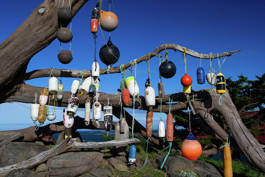 Floats Hanging On A Tree, Battery Point Photograph by Panoramic Images