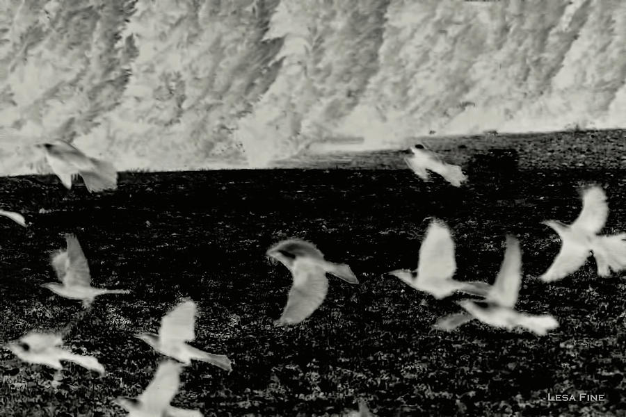 Bird Photograph - Flock in Infrared by Lesa Fine