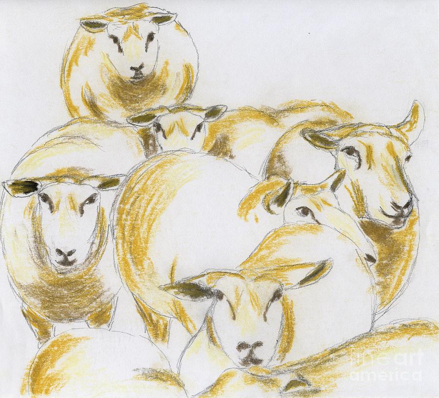 Flock Of Sheep Drawing by Annemeet Hasidi- van der Leij