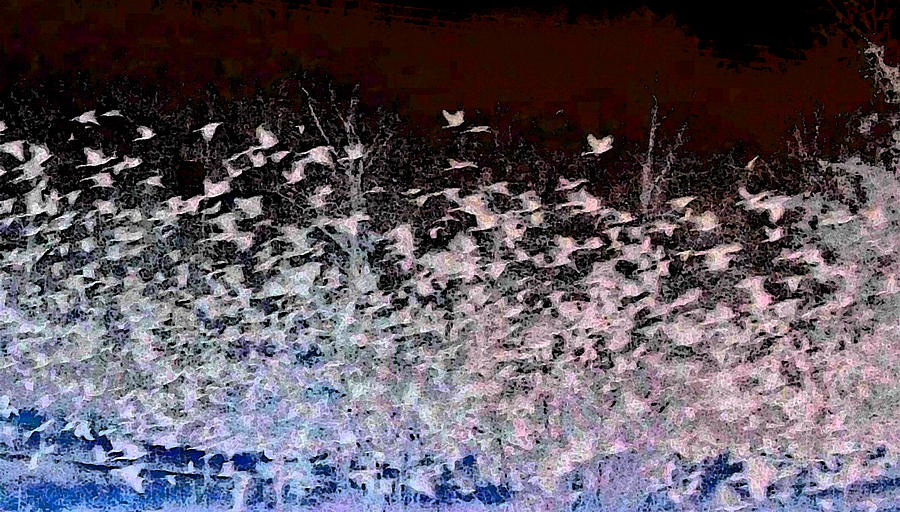 Flockphenomenon Digital Art