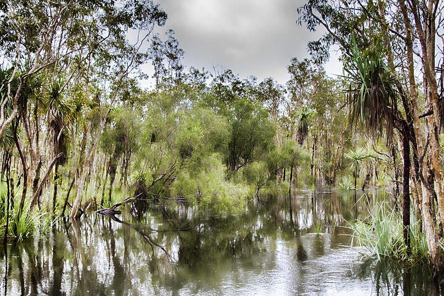 Kakadu National Park Photograph - Flood V1 by Douglas Barnard