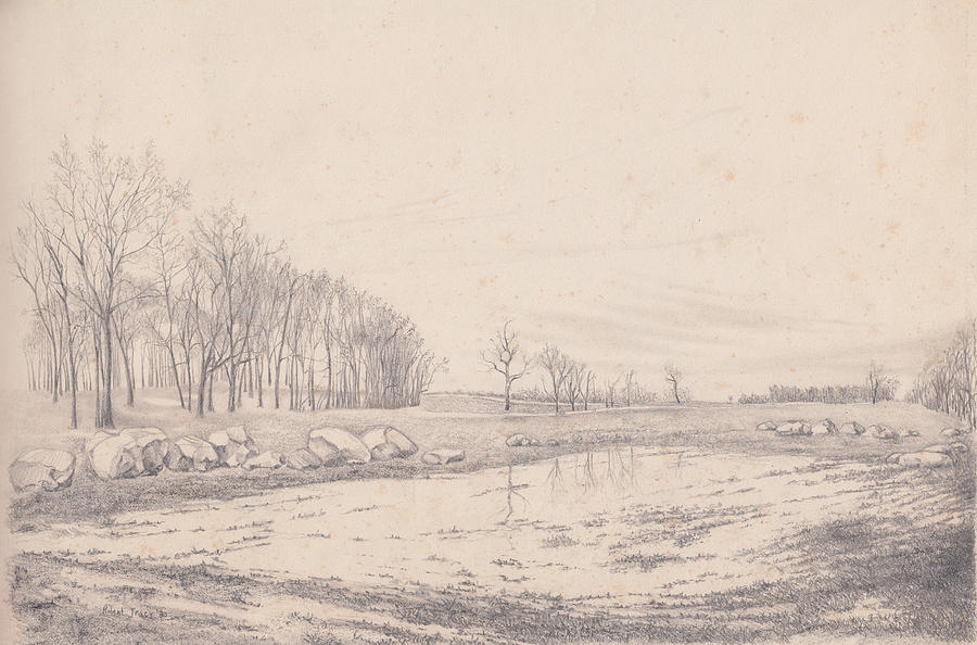 Flooded Field Drawing by Robert Tracy