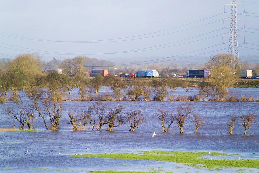Winter Photograph - Flooded Fields by Simon Fraser/science Photo Library