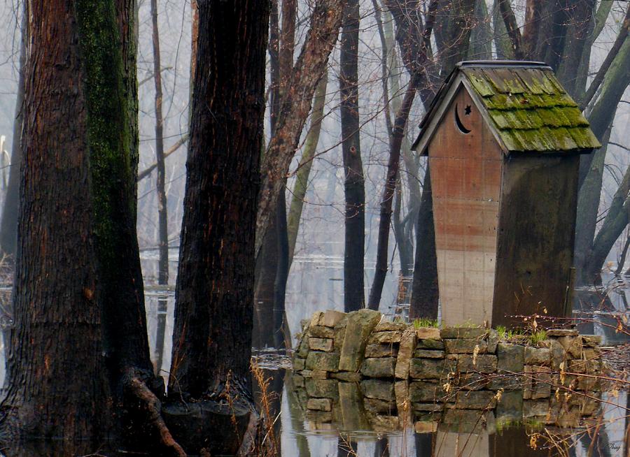 Brick Photograph - Foggy Swamp Outhouse by Wild Thing