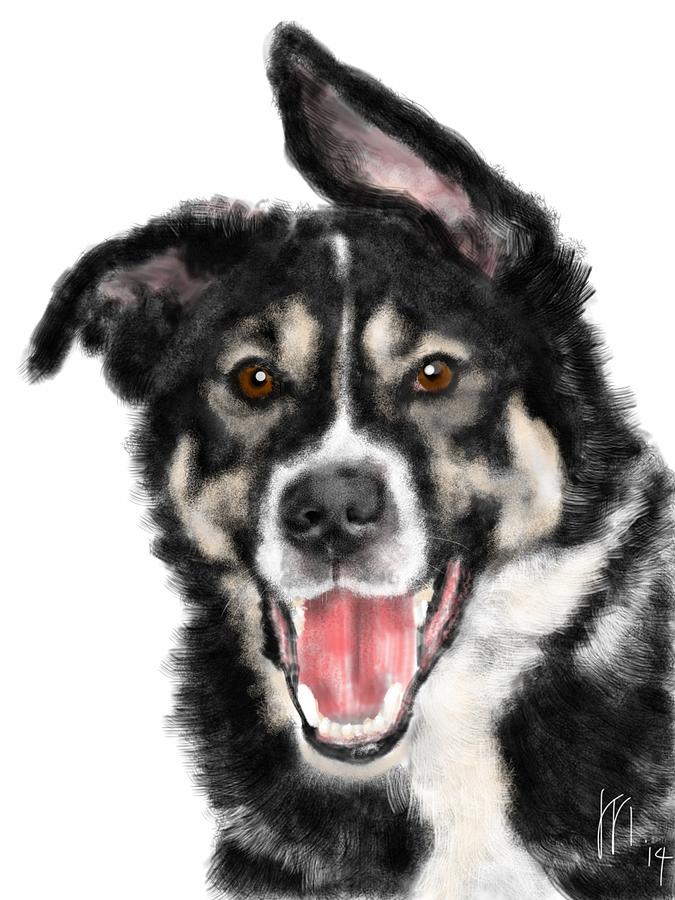 Floppy Ear Dog Painting by Lois Ivancin Tavaf