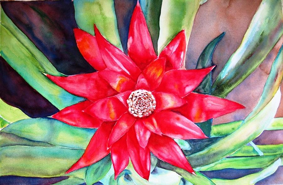 Flor Bromelia Painting by Ronald Oliver - Fine Art America