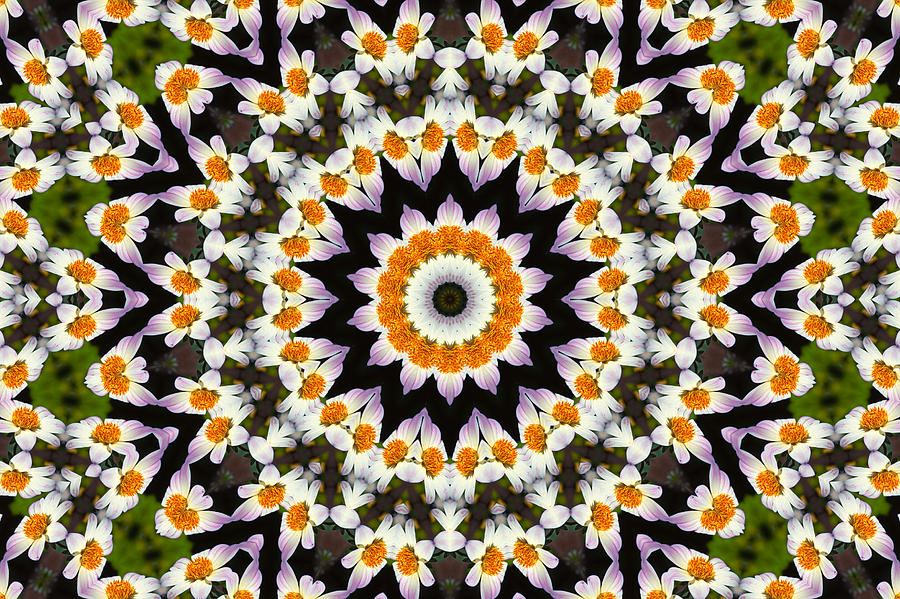 Flora Kaleidoscope Painting by Lynne Jenkins