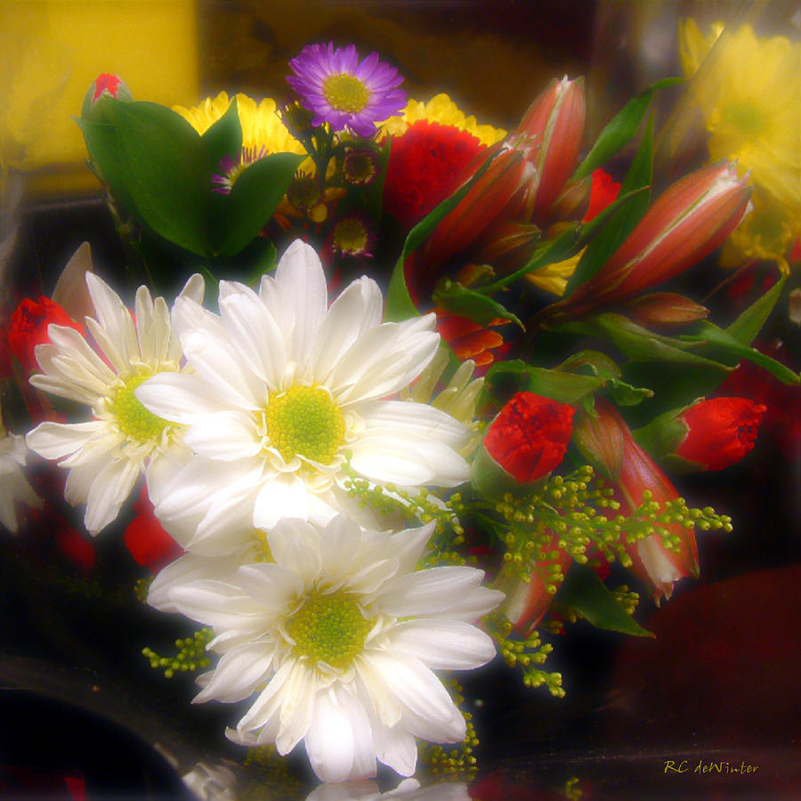 Flora Radiant Photograph by RC DeWinter