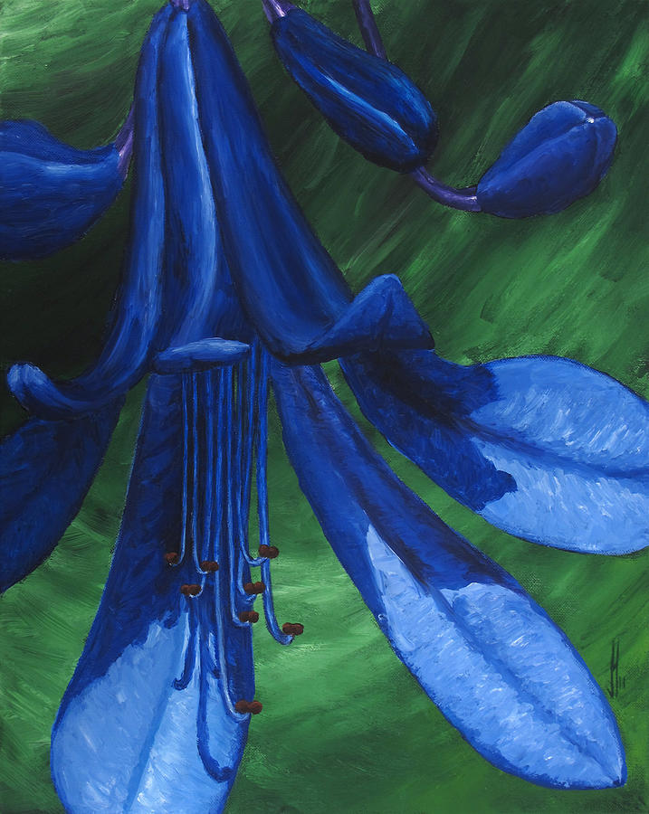 Flora Series-Number 12 Painting by Jim Harper
