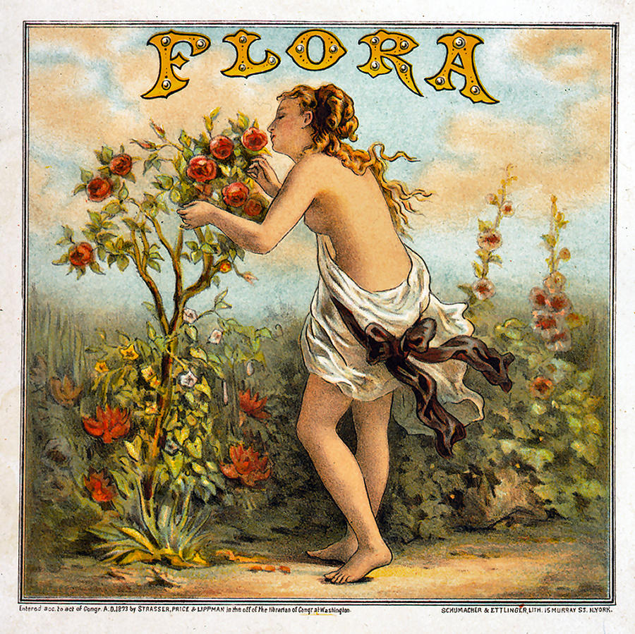 Rose Digital Art - Flora Vintage Label by Strasser Price Lipperman