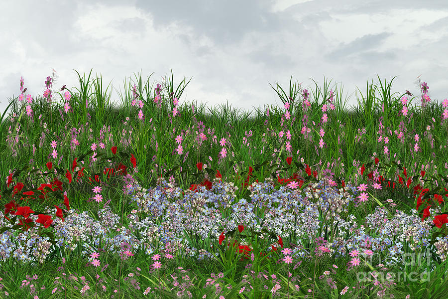 Flower Photograph - Floral Backdrop by ChelsyLotze International Studio