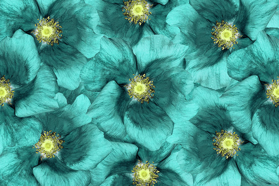 Floral  Background .turquoise Flowers Photograph by Fnadya76