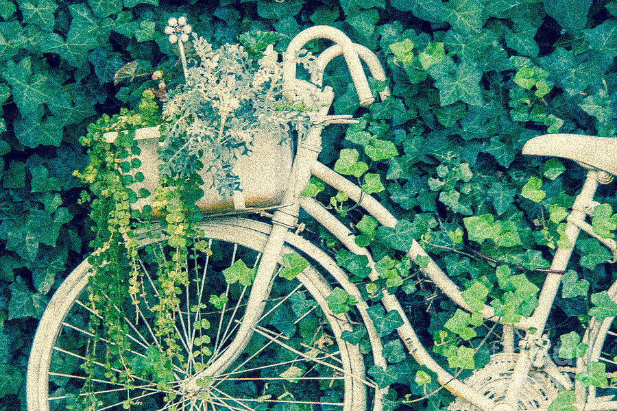 Bicycle Photograph - Floral Biker by Nancy Chilcott