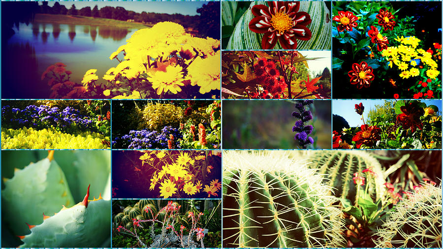 Floral Collage Photograph