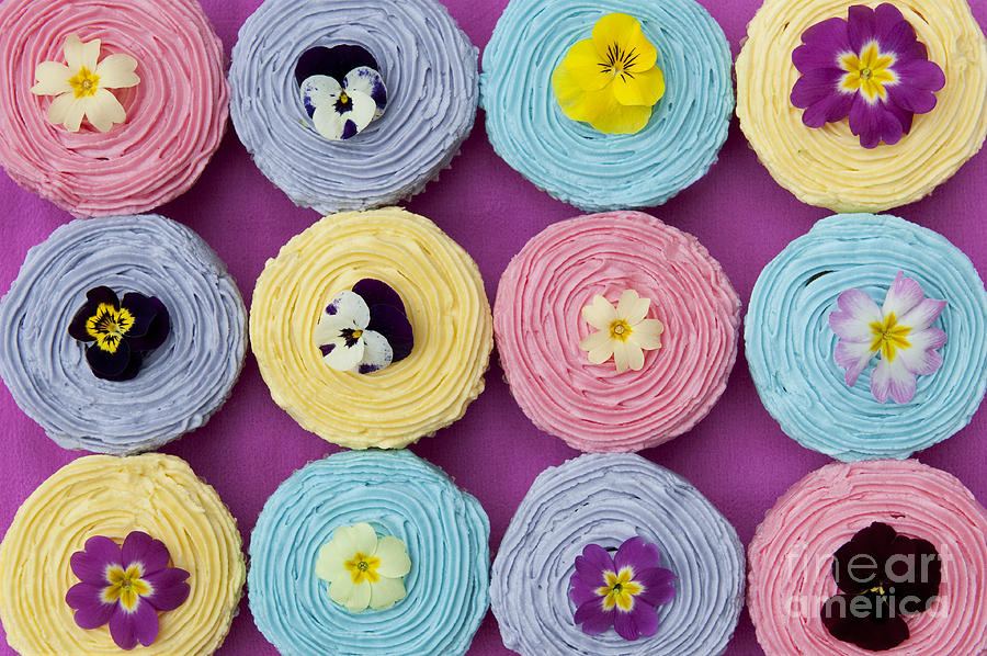 Floral Cupcakes Photograph by Tim Gainey