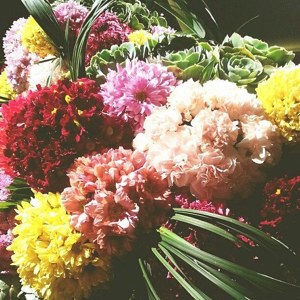 Flower Photograph - Floral Decors, I Love. ♥ by Ariele Infantado