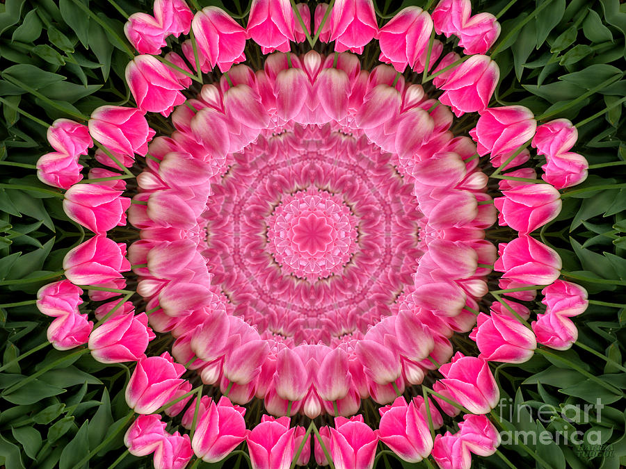 Tulip Digital Art - Floral Fantasy - 35 by Hanza Turgul