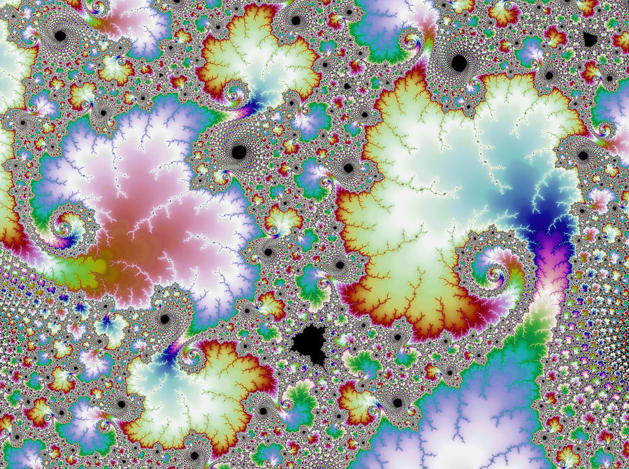 Floral fractal artwork beautiful colors Digital Art by Matthias Hauser ...