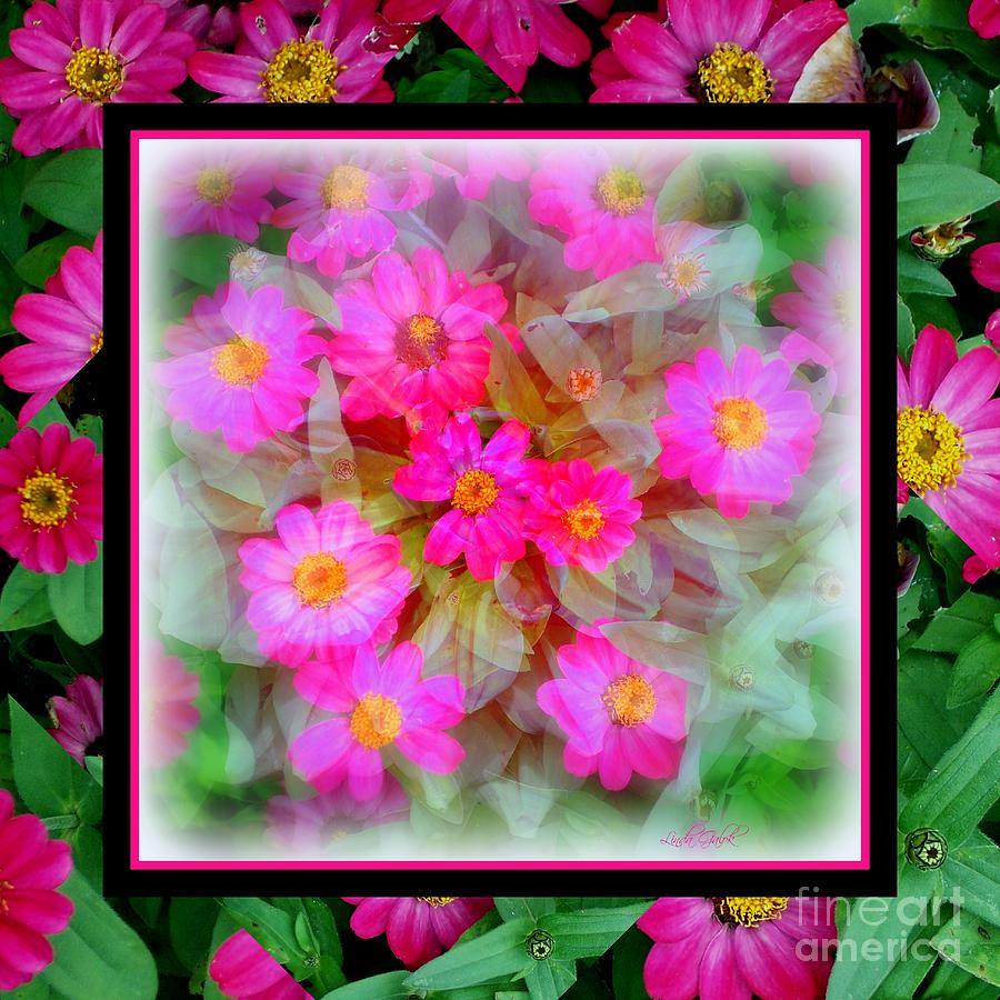 Spring Photograph - Floral Framework by Linda Galok