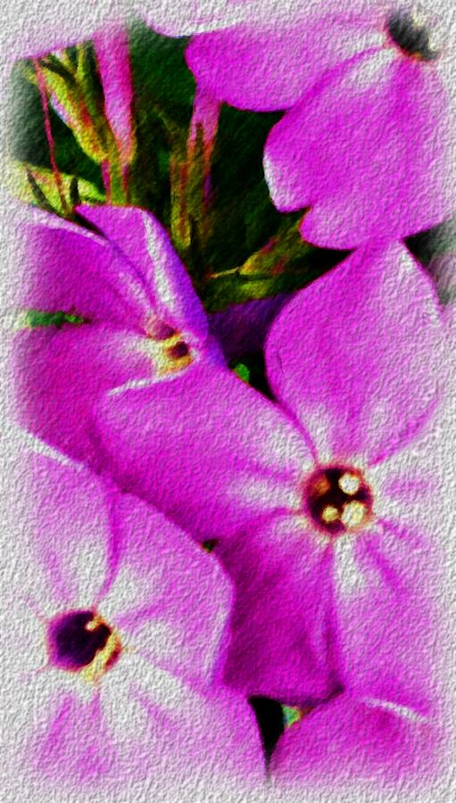 Floral Fun 012714 Digital Art by David Lane