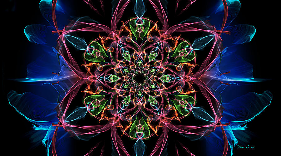 Floral Glowbloom Digital Art by Dan Terry - Fine Art America