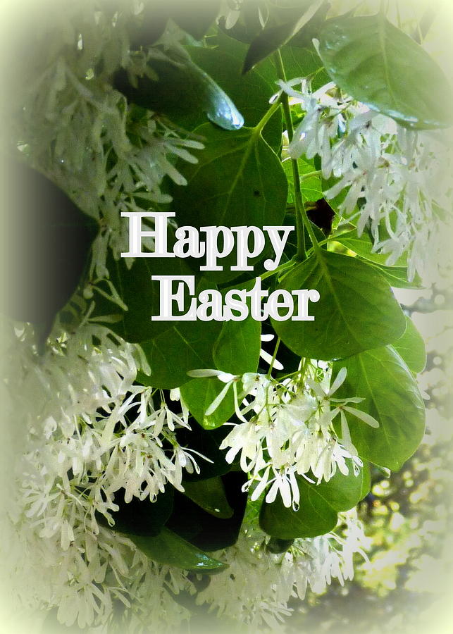 Floral Happy Easter Greeting Card Photograph by Carla Parris