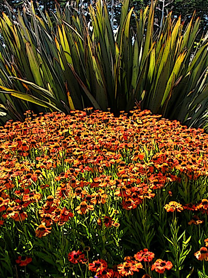 Flower Digital Art - Floral Impact by Ben Freeman