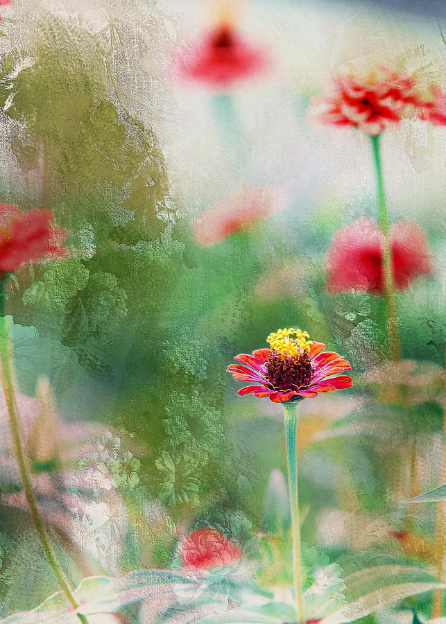 Floral Imprintation Photograph by Bill and Linda Tiepelman
