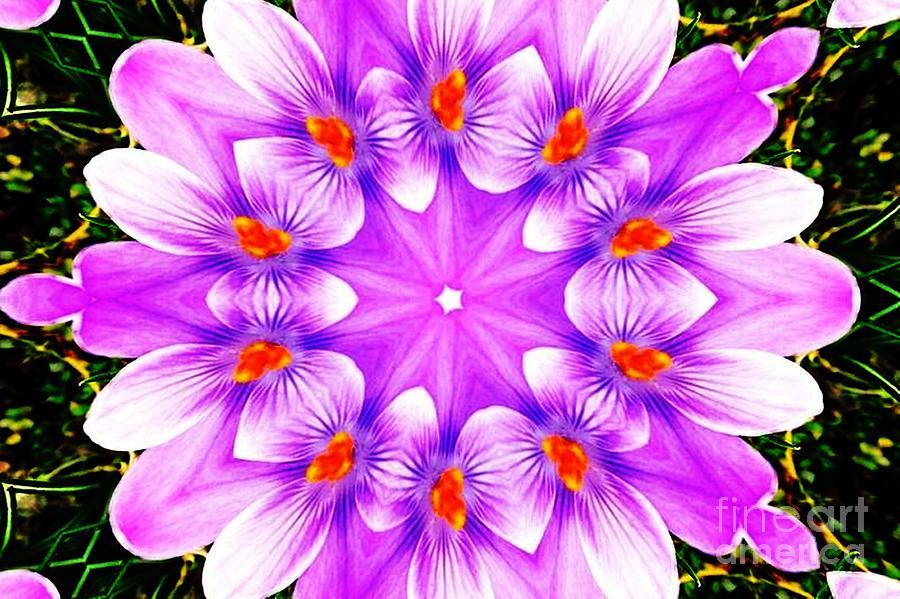 Floral Kaleidoscope Photograph by Judy Palkimas