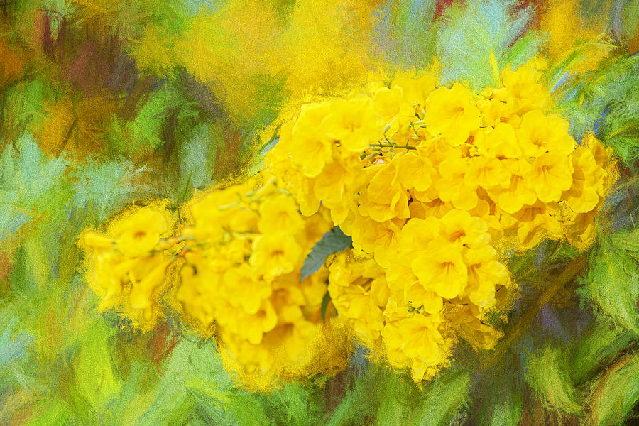 Floral Painting in Yellow Photograph by Linda Phelps
