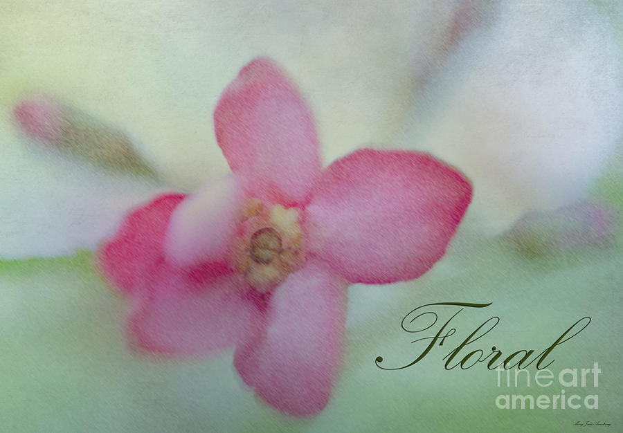 Floral Pink Tissue  Photograph by Mary Jane Armstrong