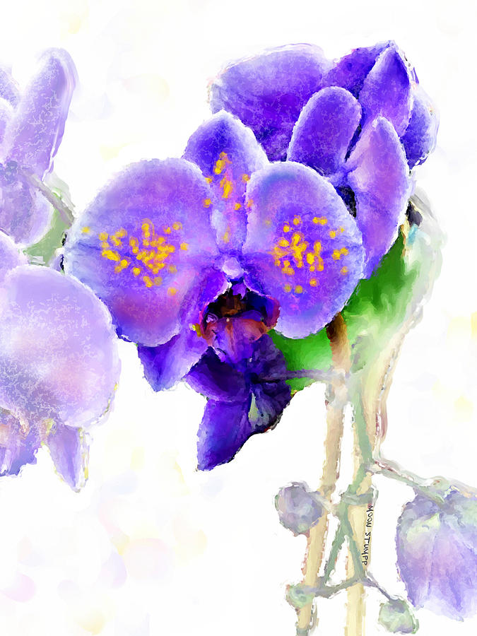 Floral Series - Orchid Painting