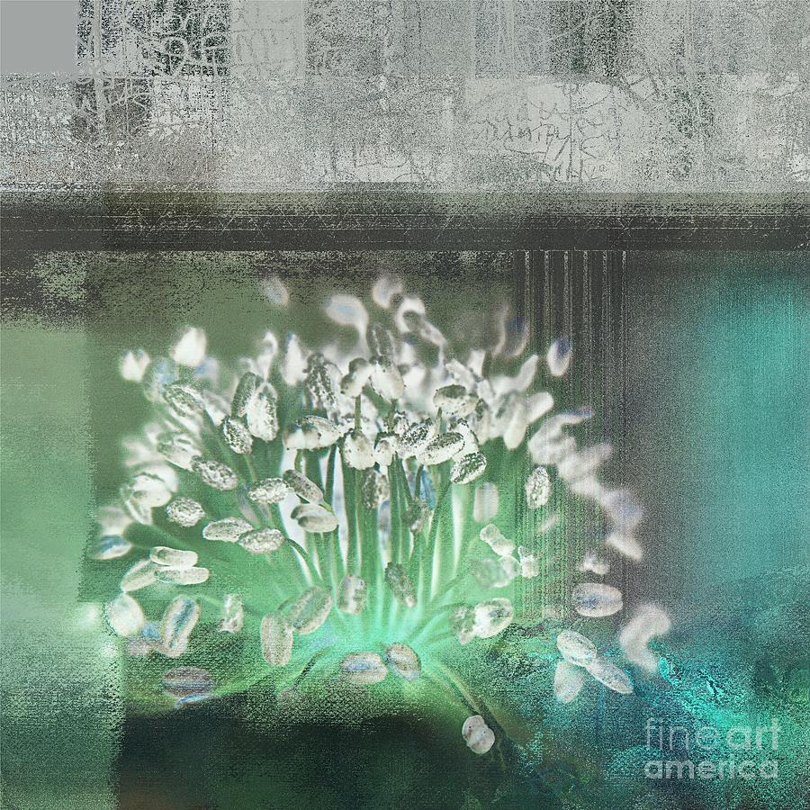 Abstract Digital Art - Floralart - 03 by Variance Collections