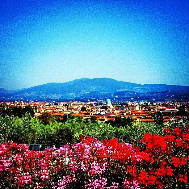 Florence Flowers Photograph by Megan Kenyon