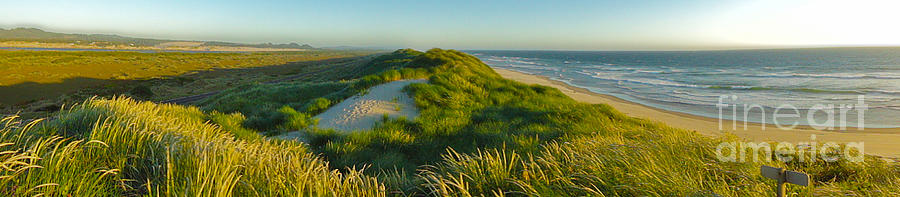 Beach Photograph - Florence Oregon - Siuslaw Dunes - Panorama by Gregory Dyer
