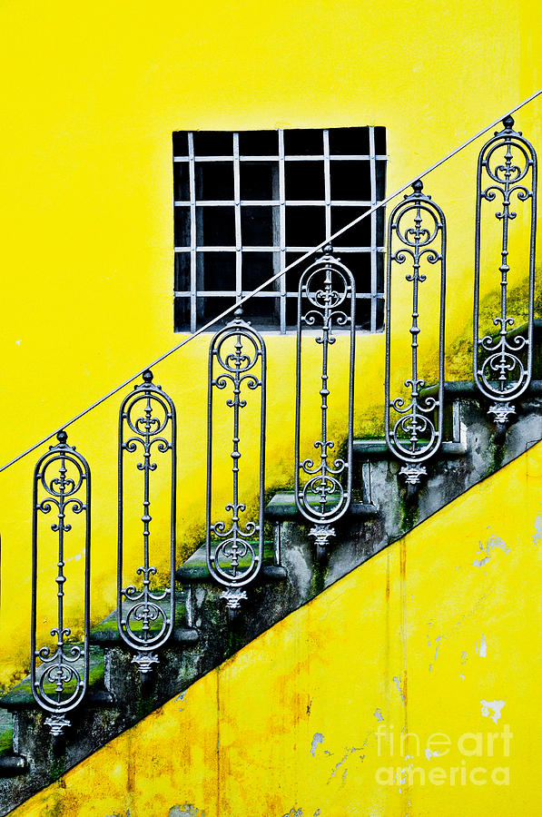Florence yellow Photograph by Emilio Lovisa