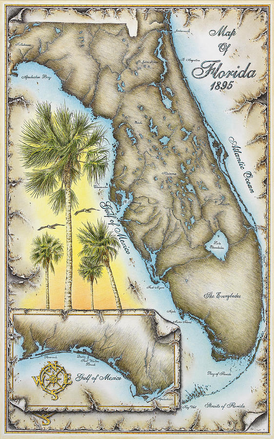 Florida 1895 Drawing by Mike Williams Fine Art America