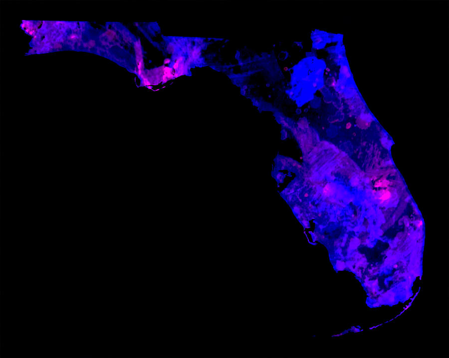 Map Digital Art - Florida 2 by Brian Reaves