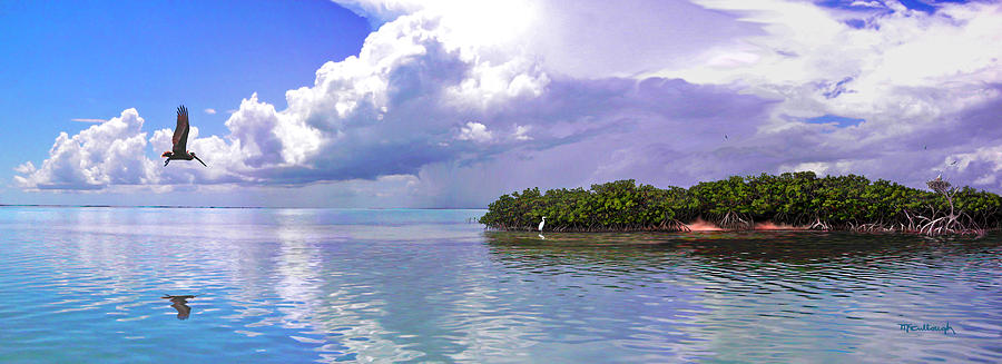 Florida Bay Island Filtered Photograph by Duane McCullough