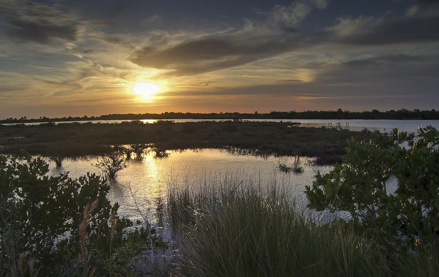 Sunset Photograph - Florida Wildlife Sanctuary by Phil And Karen Rispin